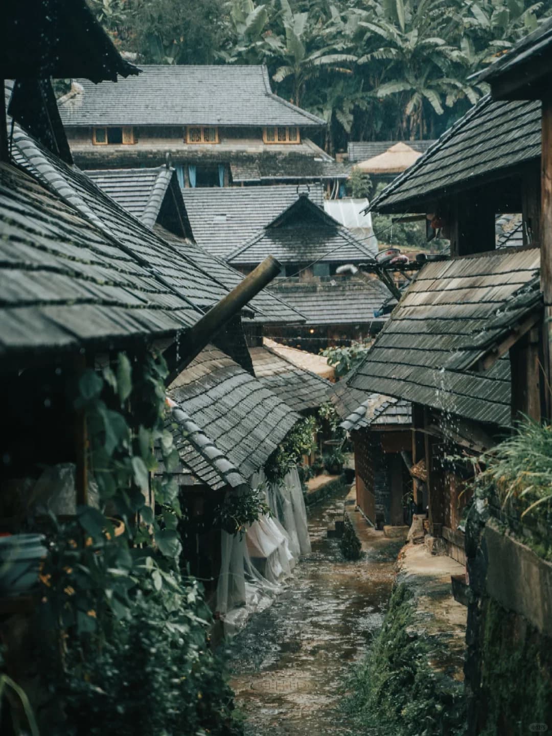 Whispers of the Lost Tribes